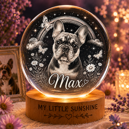 Personalized Pet Photo Crystal Ball Lamp, Custom Dog Night Light, Memorial Pet Gift THUC99