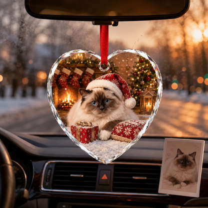 Custom Photo cat style 20