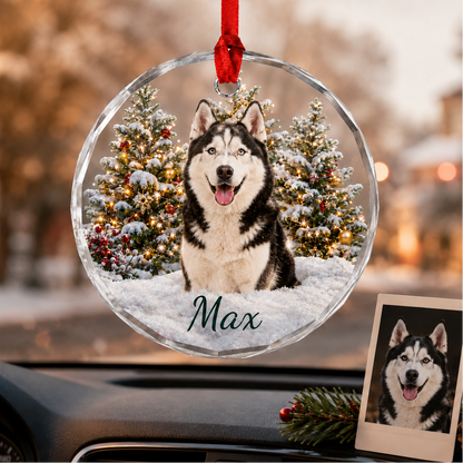 Custom Photo Dog Xmas Style 6