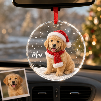 Custom Photo Dog In Snow