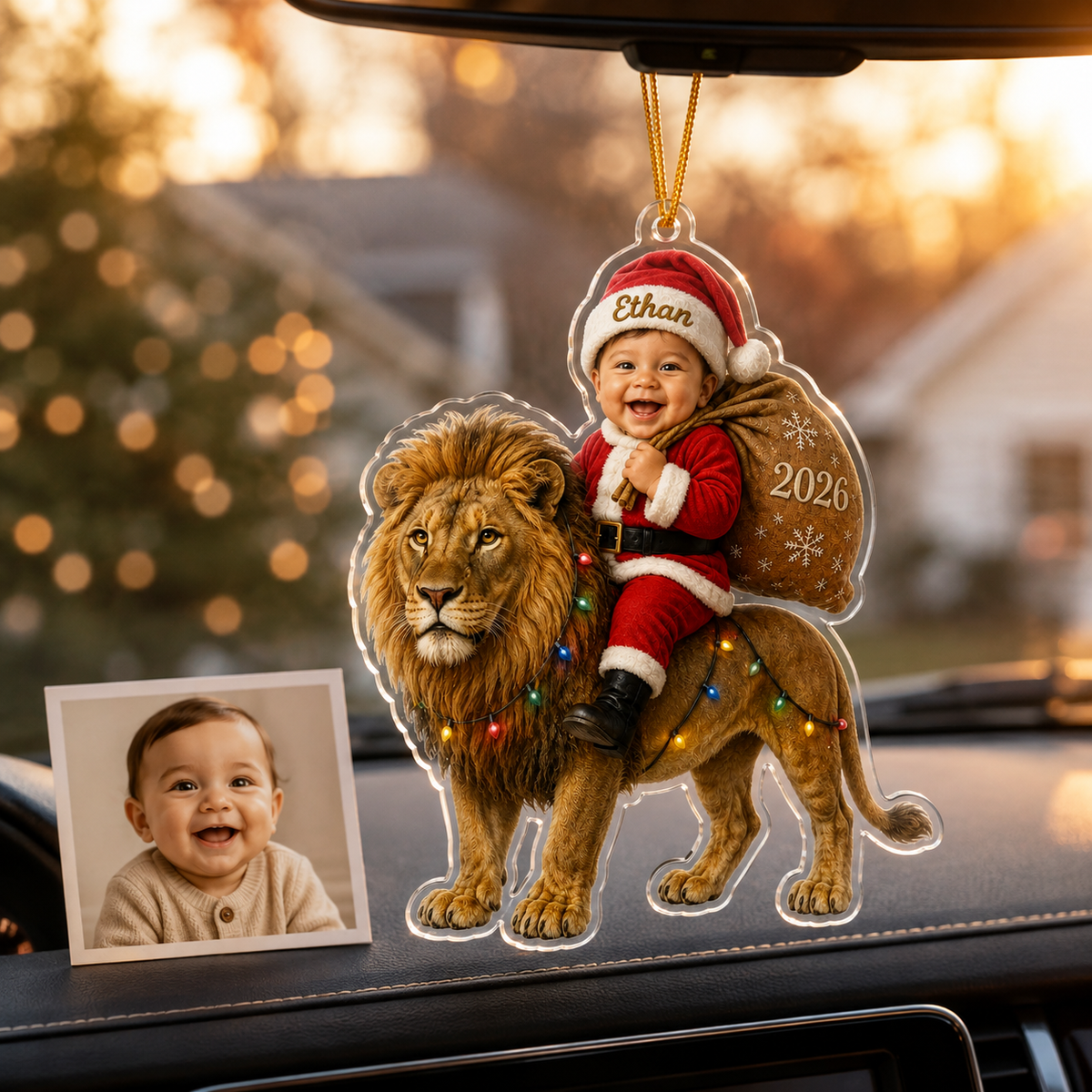 Custom Photo Baby Animal Lion