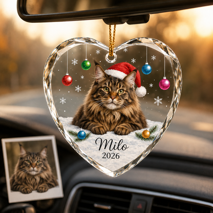 Custom Photo cat style 5