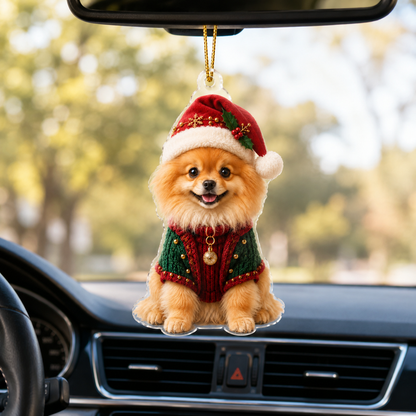 Dog Chrismast With Noel Sweater Pomeranian