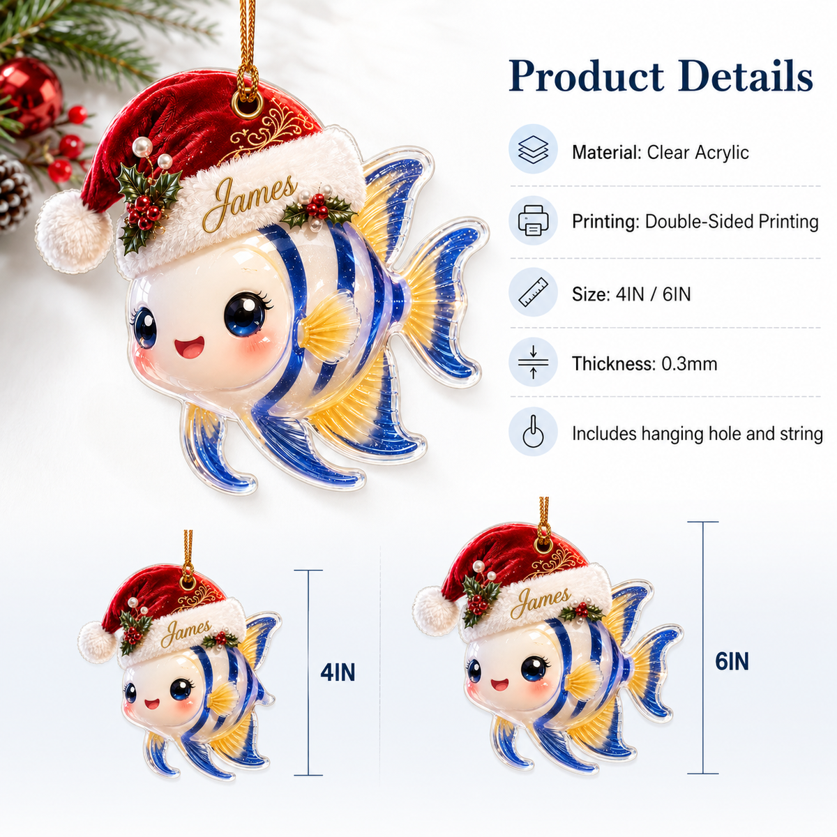 Animal With Santa Hat Angelfish