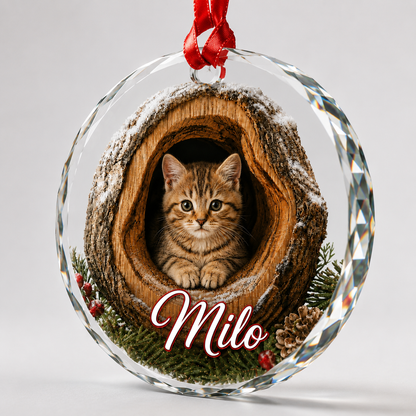 Glass ornament Animal Cat
