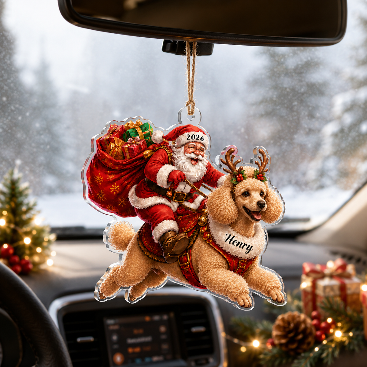 Santa Claus and Dog Poodle