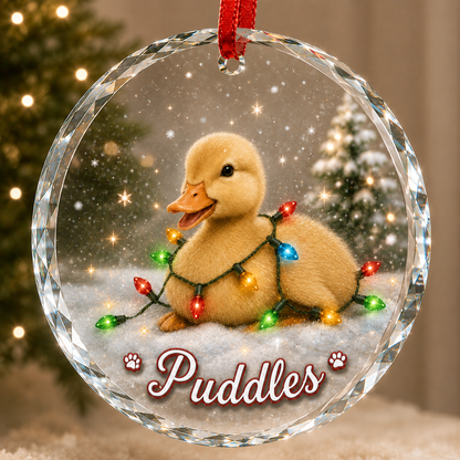 Glass Animal Led Light Duck
