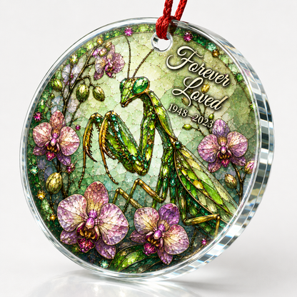 Animal Praying Mantis