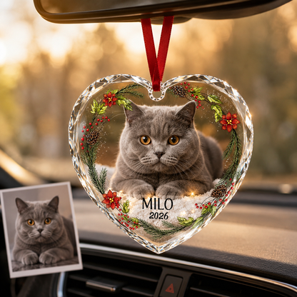 Custom Photo cat style 3