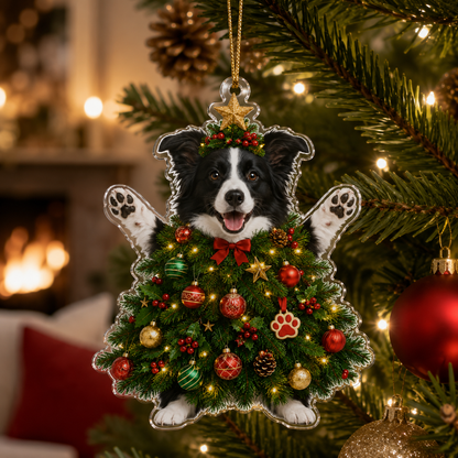 Dog Santa Tree Border Collie