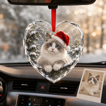 Custom Photo cat style 17