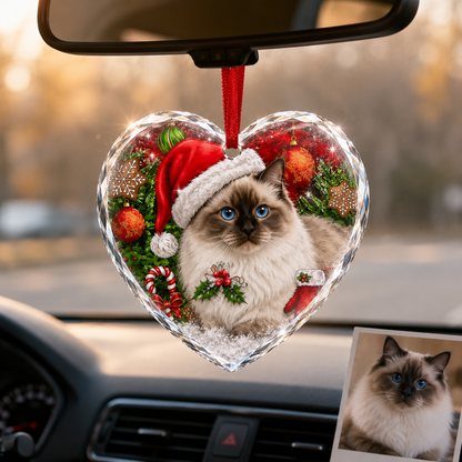 Custom Photo cat style 16