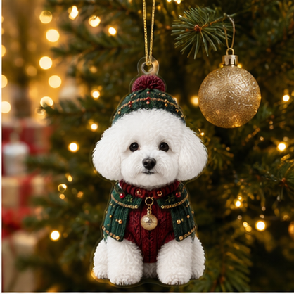 Dog Chrismast With Noel Sweater Bichon Frise