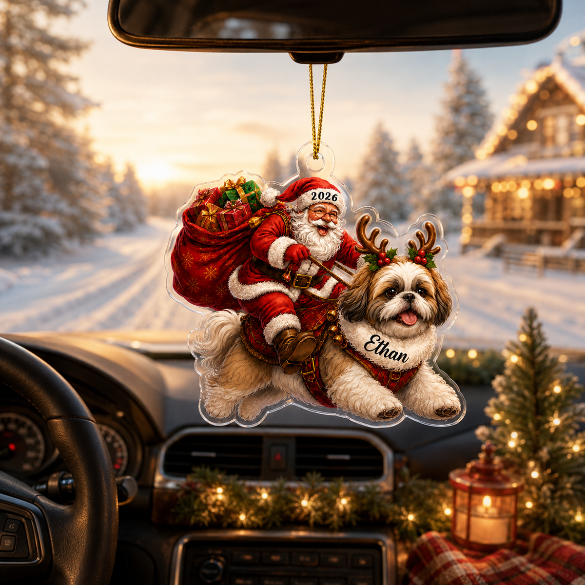 Santa Claus and Dog Shih Tzu