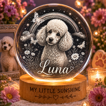 Personalized Pet Photo Crystal Ball Lamp, Custom Dog Night Light, Memorial Pet Gift THUC99