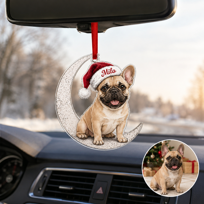 Custom Photo Dog Christmas Style 14