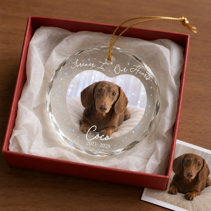 Custom Photo Dog Memorial Style 12