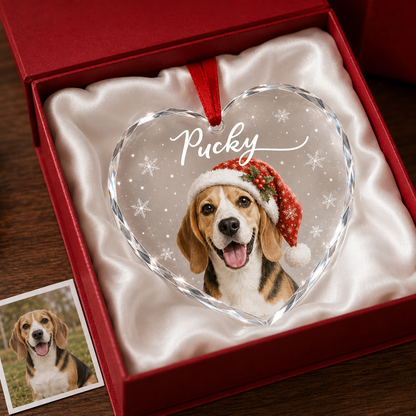 Custom Photo Dog Glass Dog With Snow