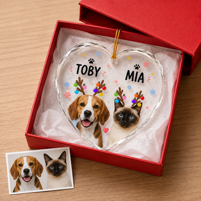 Custom Photo Pet Style 9