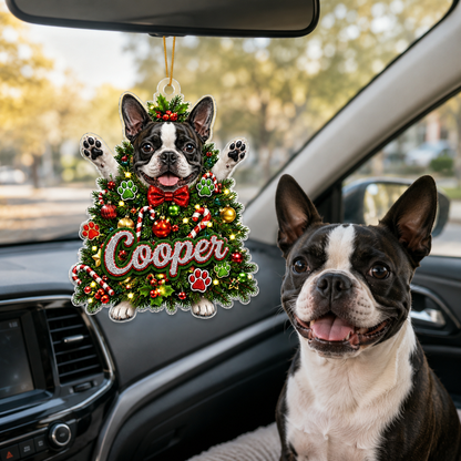 Custom Photo Dog Christmas Style 2