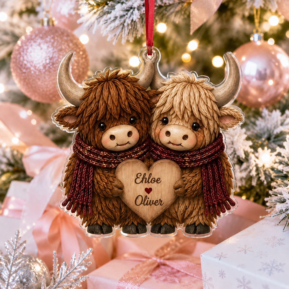 Couple Animal Higland Cow