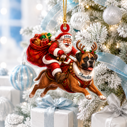 Santa Claus and Dog Boxer