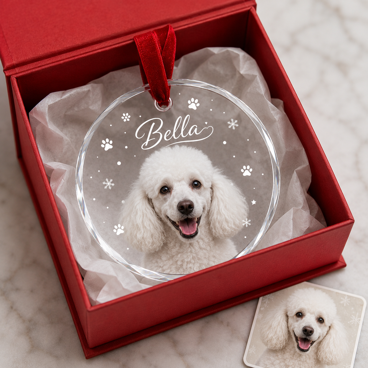 Custom Photo Pet Style 2