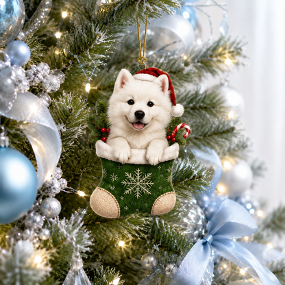 Dog Christmas Socks Samoyed