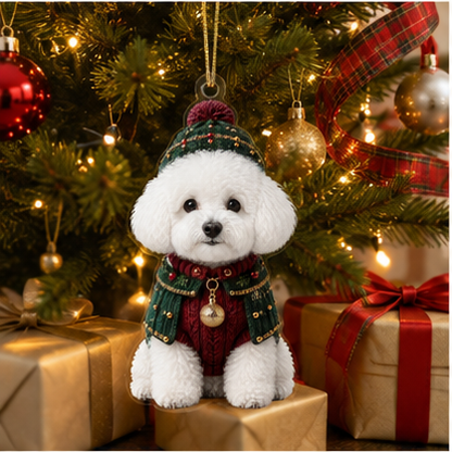 Dog Chrismast With Noel Sweater Bichon Frise
