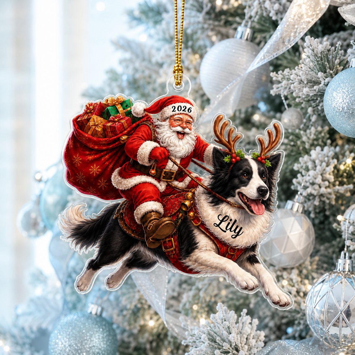 Santa Claus and Dog Border Collie