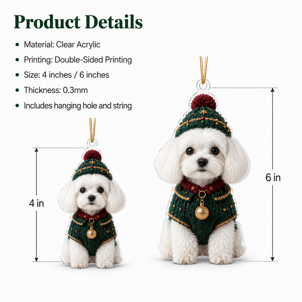 Dog Chrismast With Noel Sweater Maltese