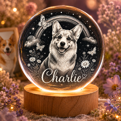Personalized Pet Photo Crystal Ball Lamp, Custom Dog Night Light, Memorial Pet Gift THUC99