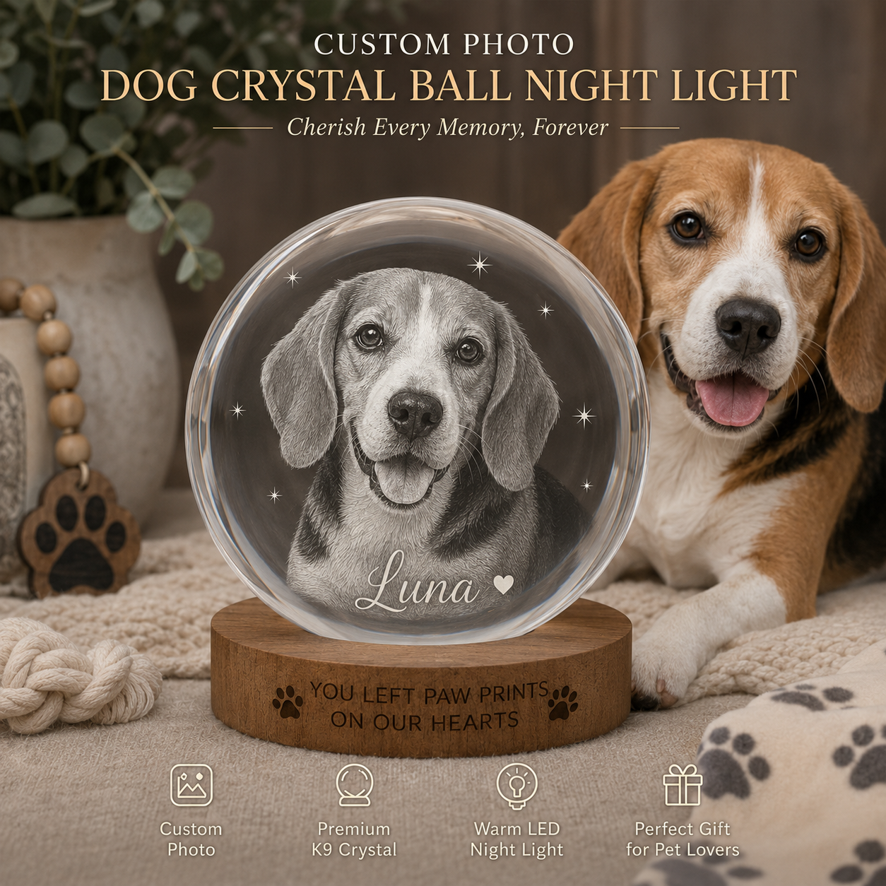 Personalized Dog Crystal Ball Lamp, Custom Pet Photo Night Light, Memorial Dog Keepsake THUC99