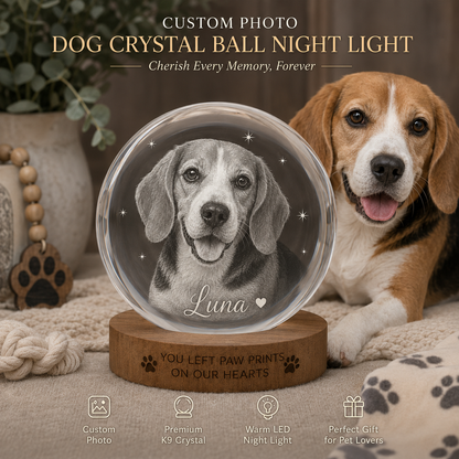 Personalized Dog Crystal Ball Lamp, Custom Pet Photo Night Light, Memorial Dog Keepsake THUC99