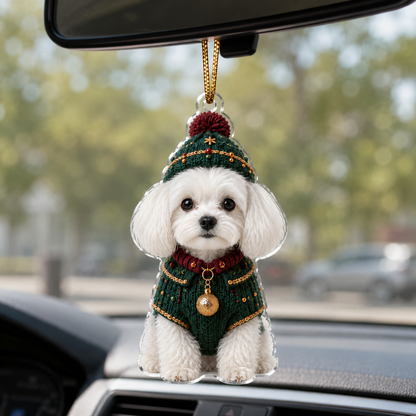 Dog Chrismast With Noel Sweater Maltese