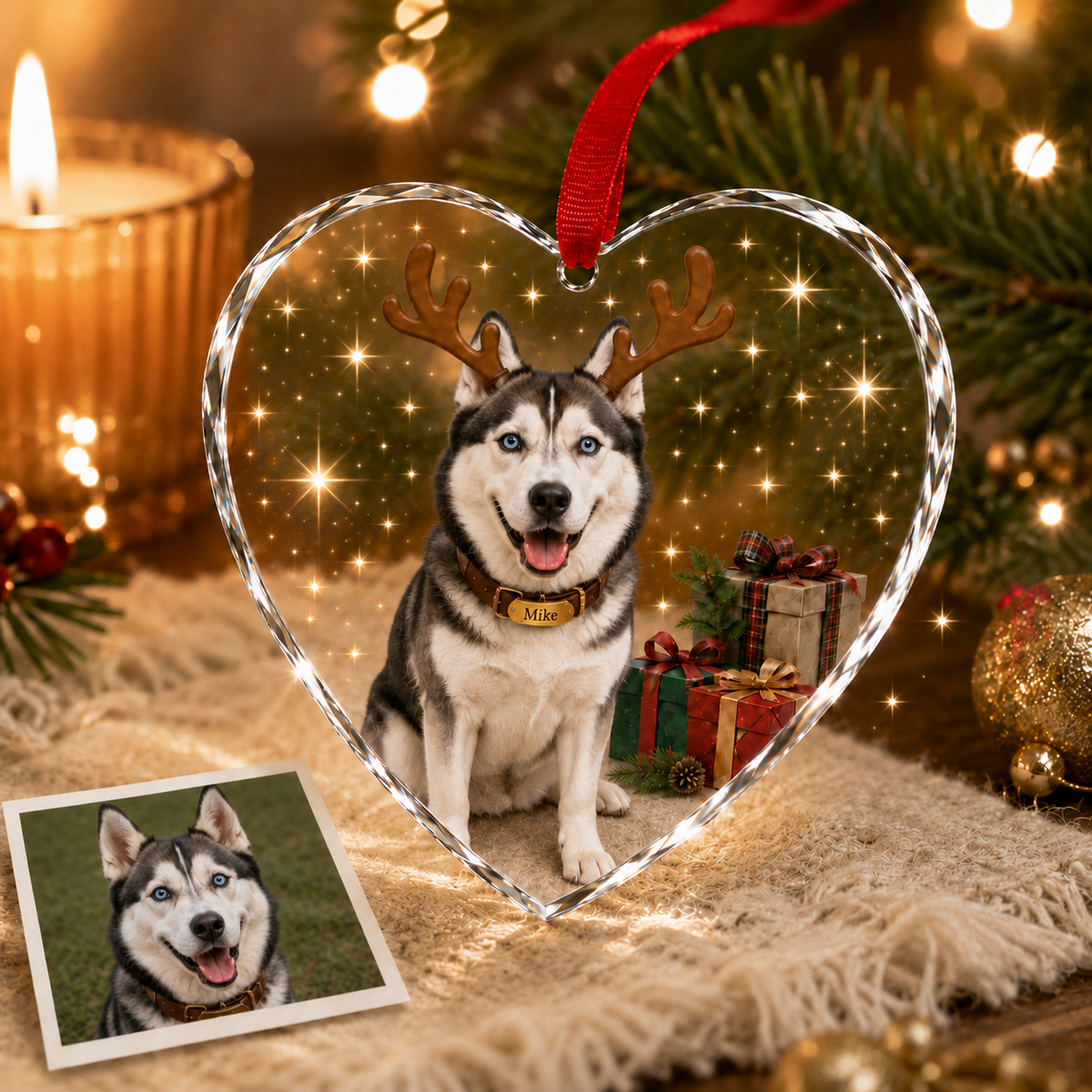 Custom Photo Dog With Christmas Gift