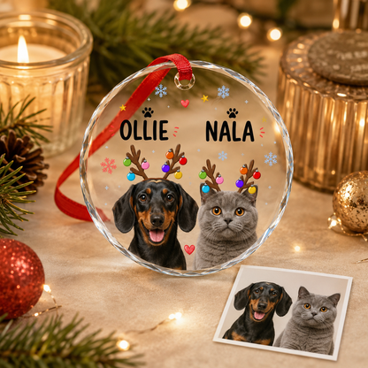 Custom Photo Pet Style 9