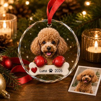 Custom Photo Dog With Boxing