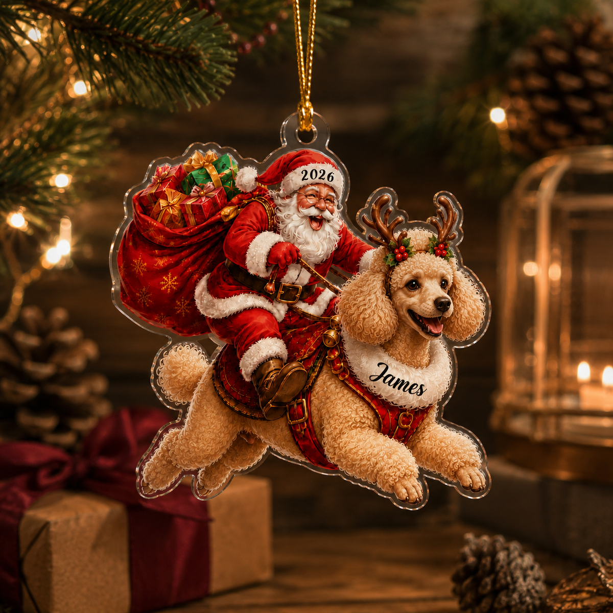 Santa Claus and Dog Poodle