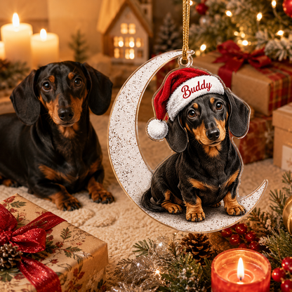 Custom Photo Dog Christmas Style 14