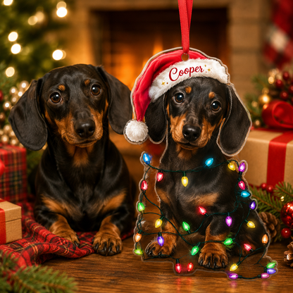 Custom Photo Dog Christmas Style 11