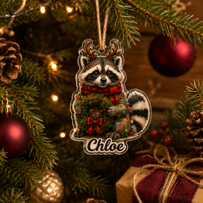 Christmas Animal Raccoon