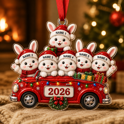 Custom Family Animal Car Rabbit