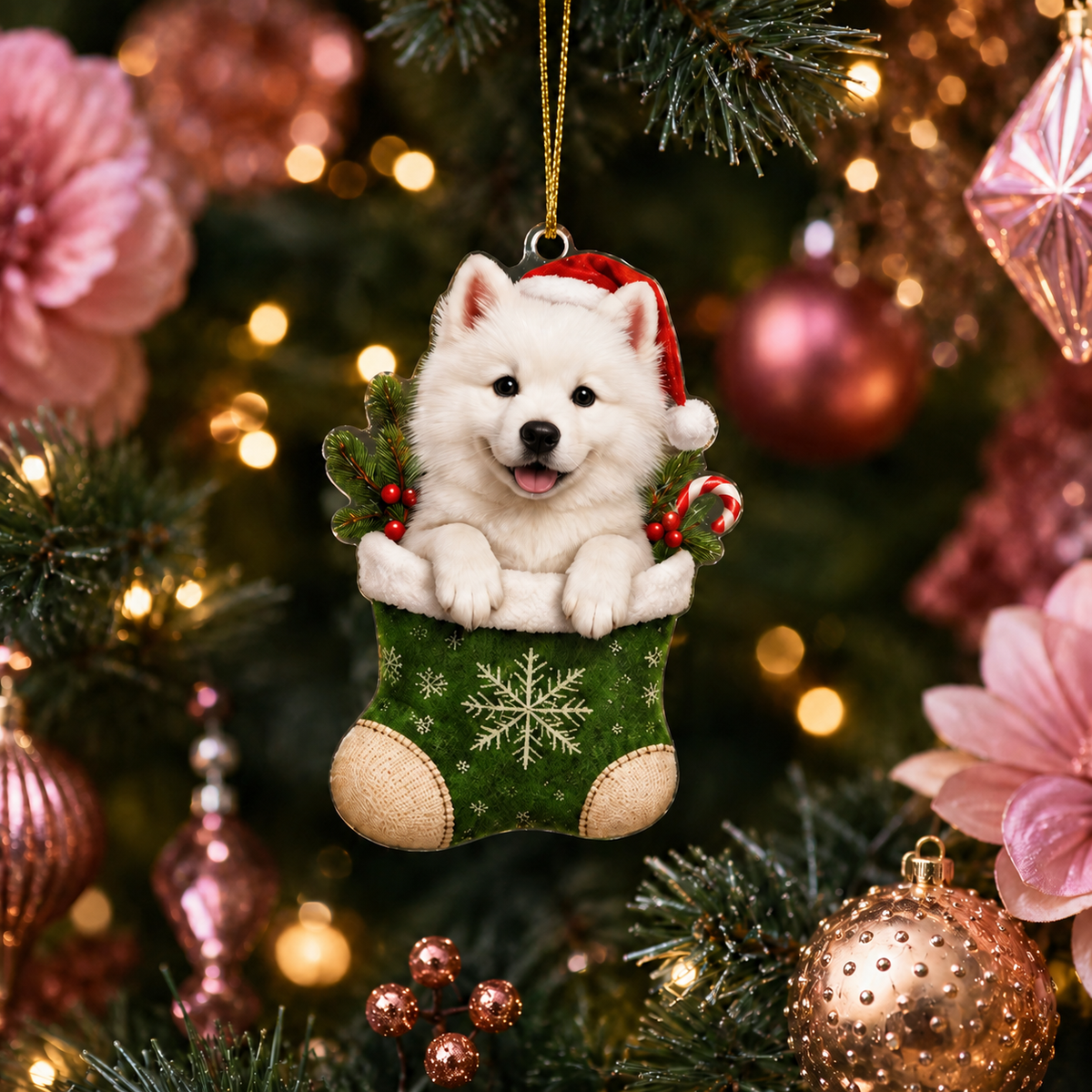 Dog Christmas Socks Samoyed