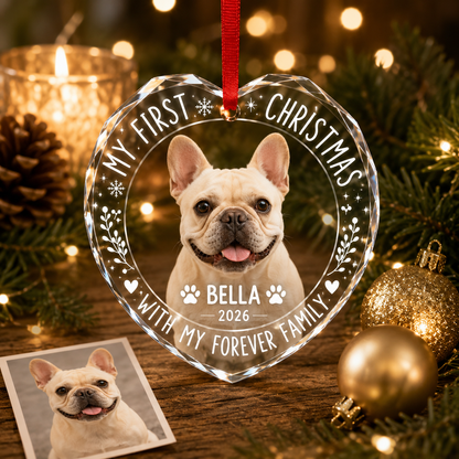 Custom Photo Pet Style 5