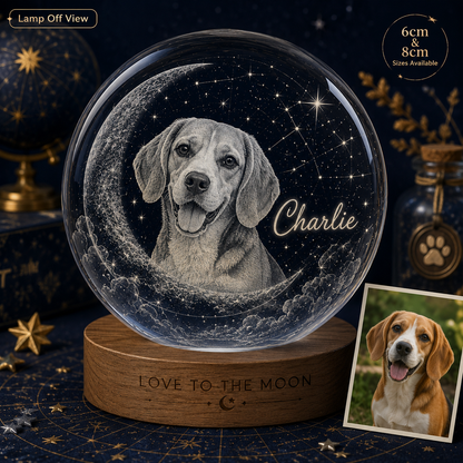 Custom Dog Photo Crystal Lamp, Personalized Pet Moon Crystal Ball Night Light, Dog Memorial Gift THUC99