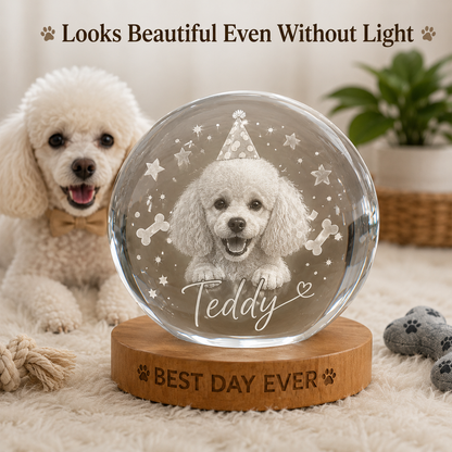 Custom Pet Crystal Ball Night Light, Personalized Dog Birthday Photo Lamp, Pet Memorial Gift THUC99