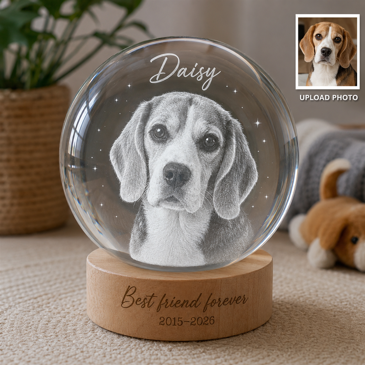 Custom Dog Photo Ball Lamp, Personalized Pet Crystal Night Light, Memorial Pet Gift THUC99