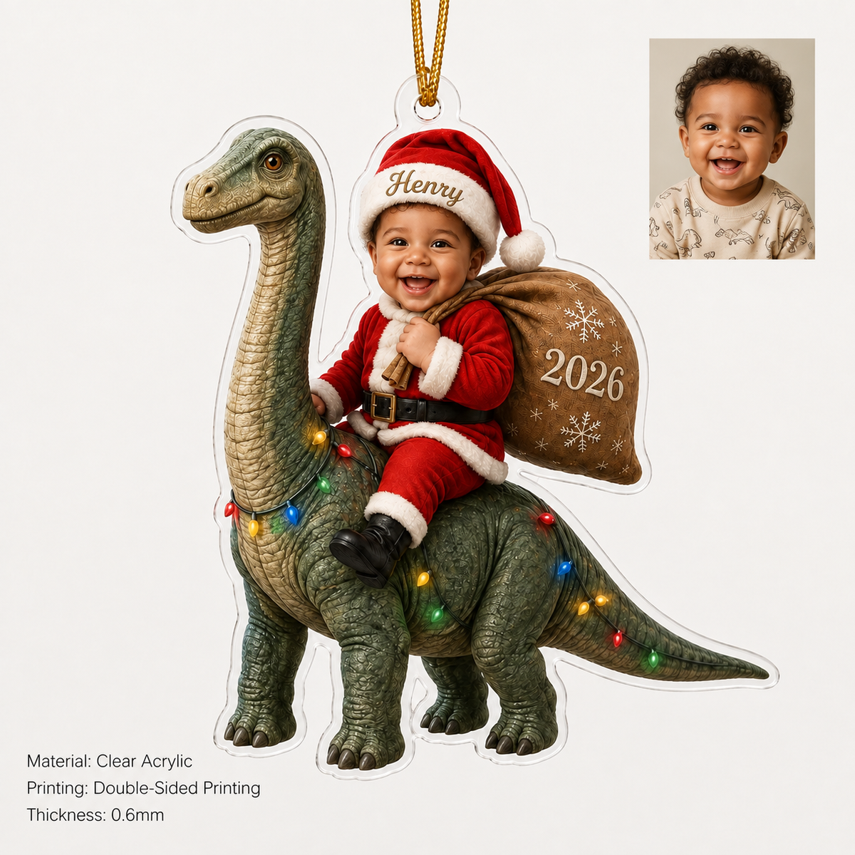 Custom Photo Baby Animal Brachiosaurus