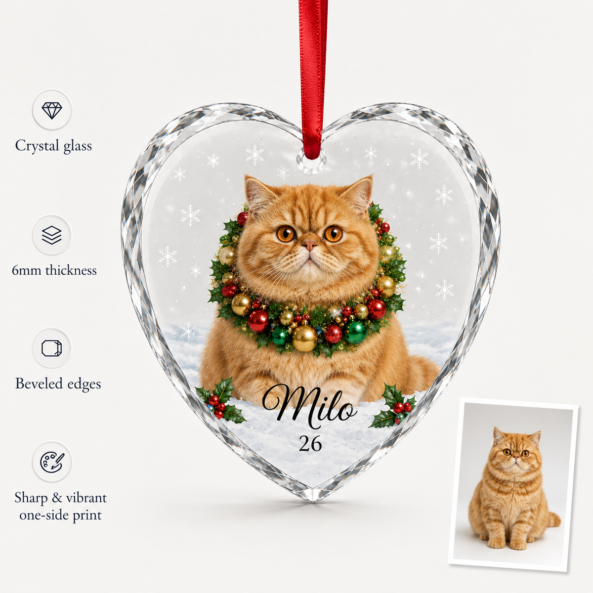 Custom Photo cat style 6